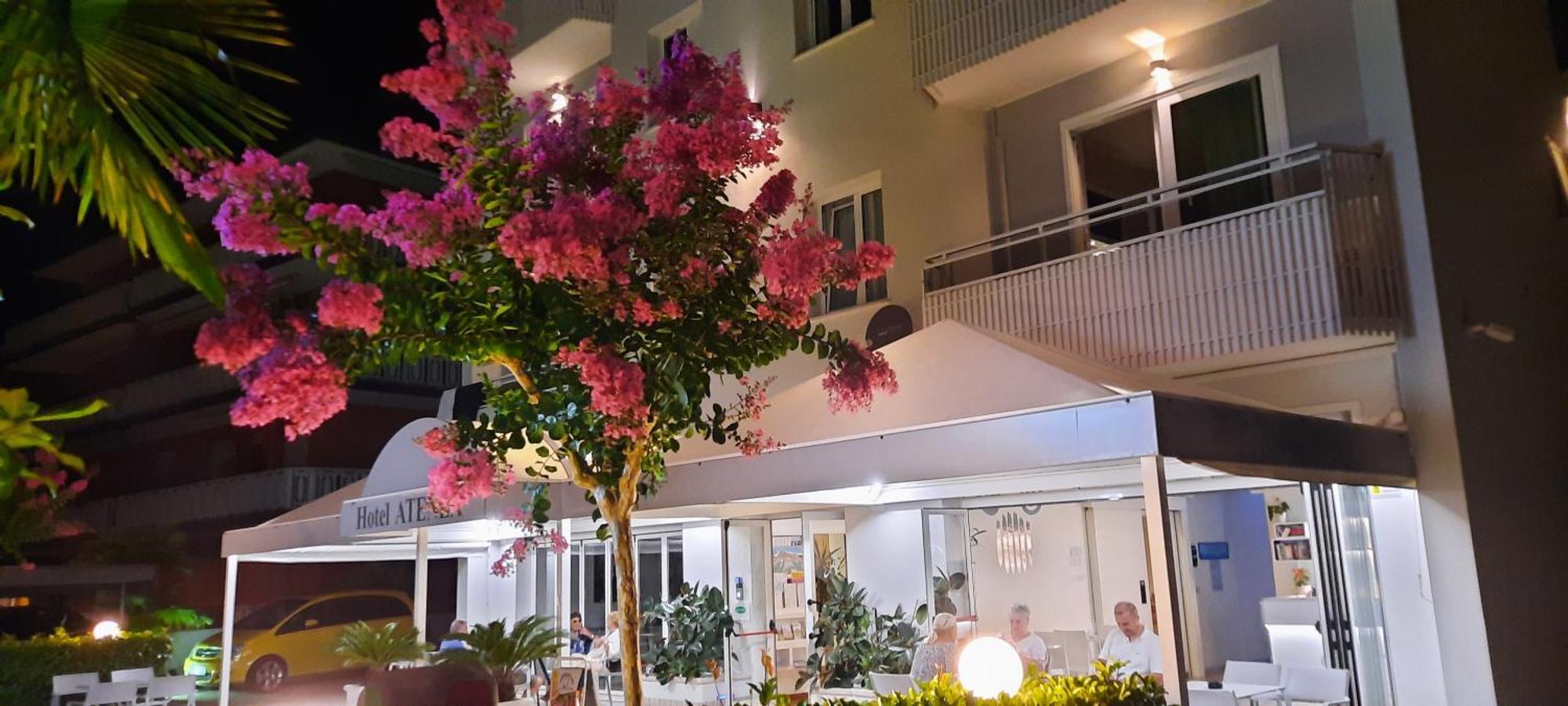 Hotel Atenea Golden Star 卡奥莱 外观 照片